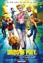 Birds of Prey 2020 Dual Audio Hindi 480p BluRay 300MB Filmy4WEB