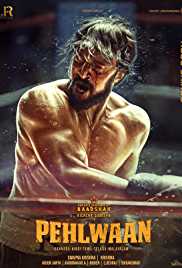 Paiwaan 2019 Hindi Full Movie Download Filmy4WEB