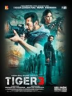 Tiger 3 2023 Movie Download 480p 720p 1080p 2160p 4K Filmy4WEB